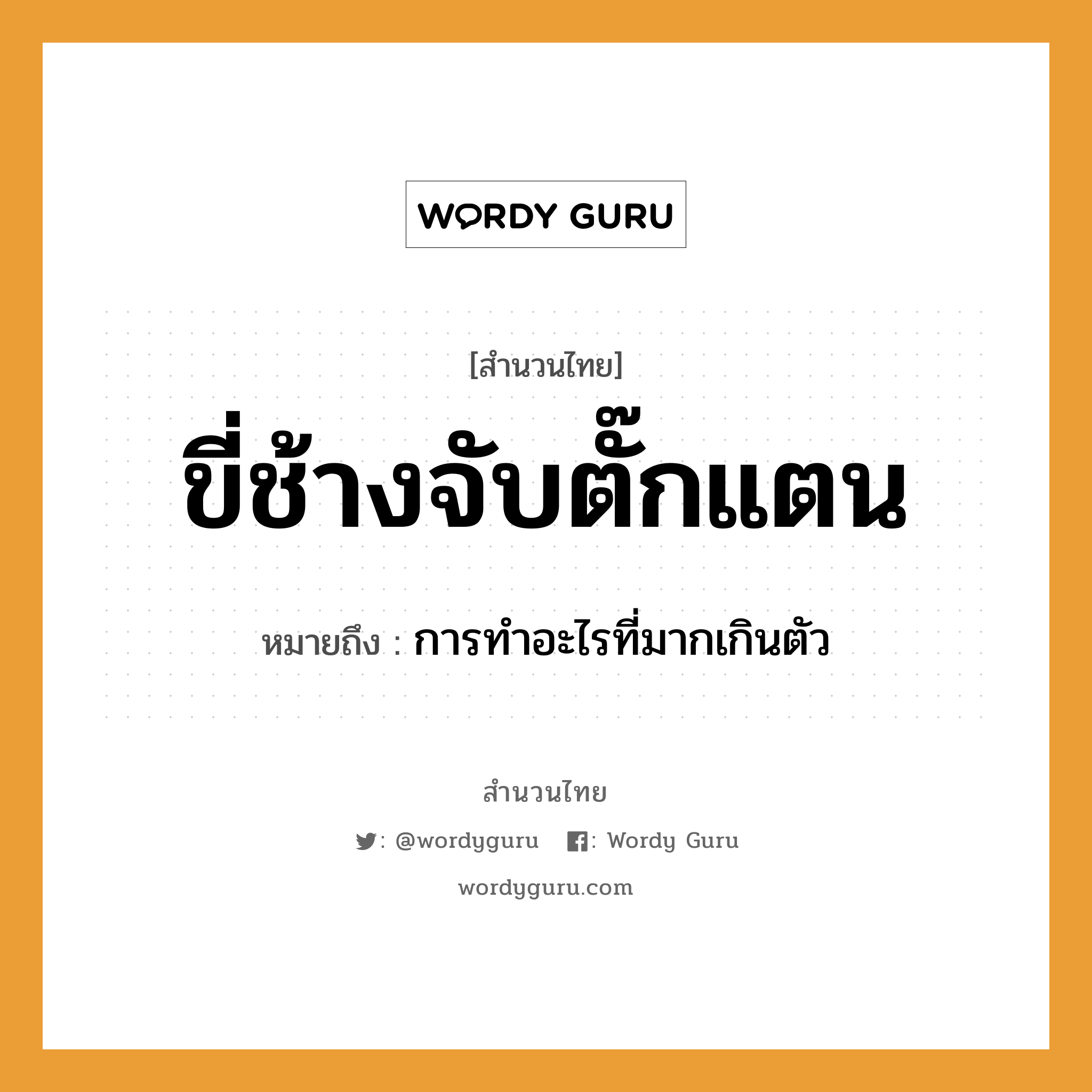 สำนวนไทย: ขี่ช้างจับตั๊กแตน หมายถึง?, หมายถึง การทำอะไรที่มากเกินตัว